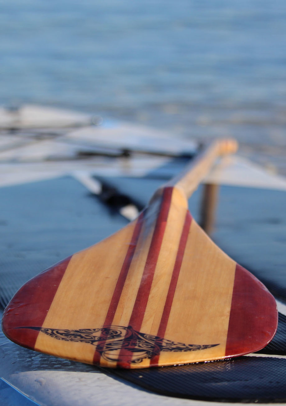 Pagaie SUP en bois Jeou Paddle exclu My Green Sport