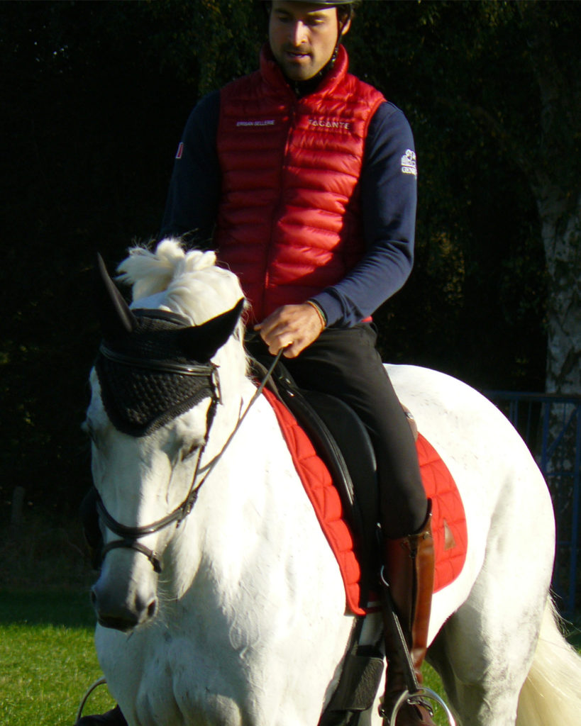 Tapis de selle coupe Dressage