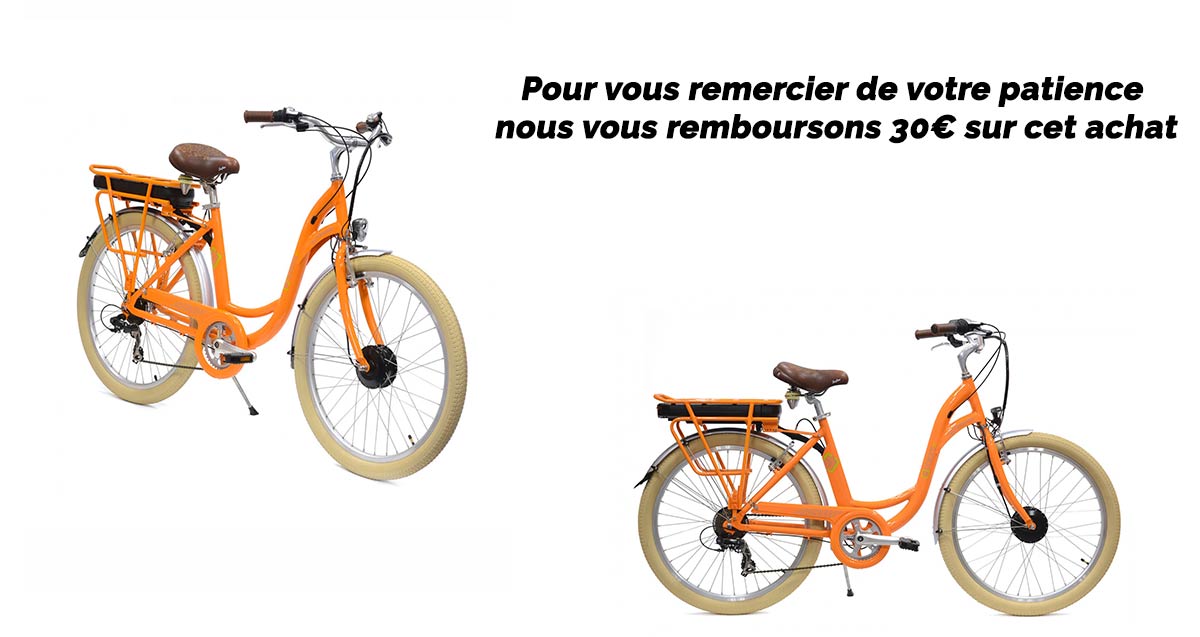 Velo electrique Vitality Classic by Arcade Cycles My Green Sport