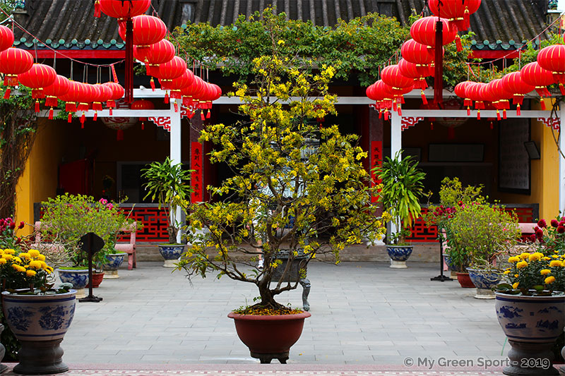 Voyager autrement Vietnam : Temple centre ville Hoi An