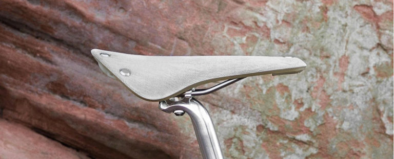 selle cambium