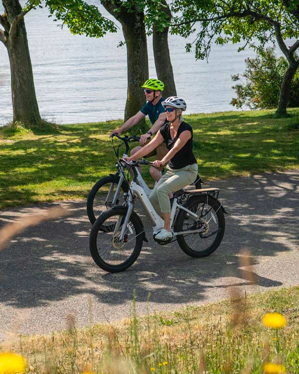 Notre vision chez My Green Sport