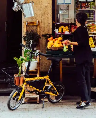 Vélo électrique pliant mini E bike Sugg